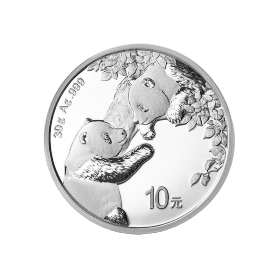 30g Strieborná investičná minca Čínska Panda