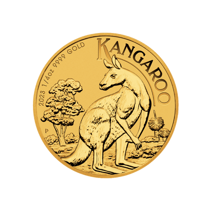 Zlatá investičná minca Kangaroo Klokan 1/4 Unce 