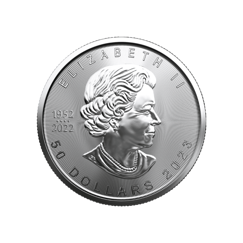Investičná minca platina Maple Leaf 1 Unca (31,1g) 